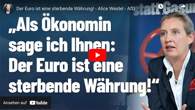 Der Euro ist eine sterbende Währung! – Alice Weidel – AfD