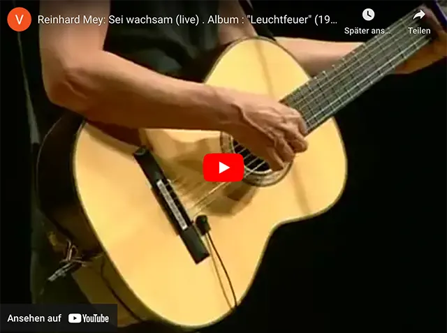 Reinhard Mey: Sei wachsam (live)